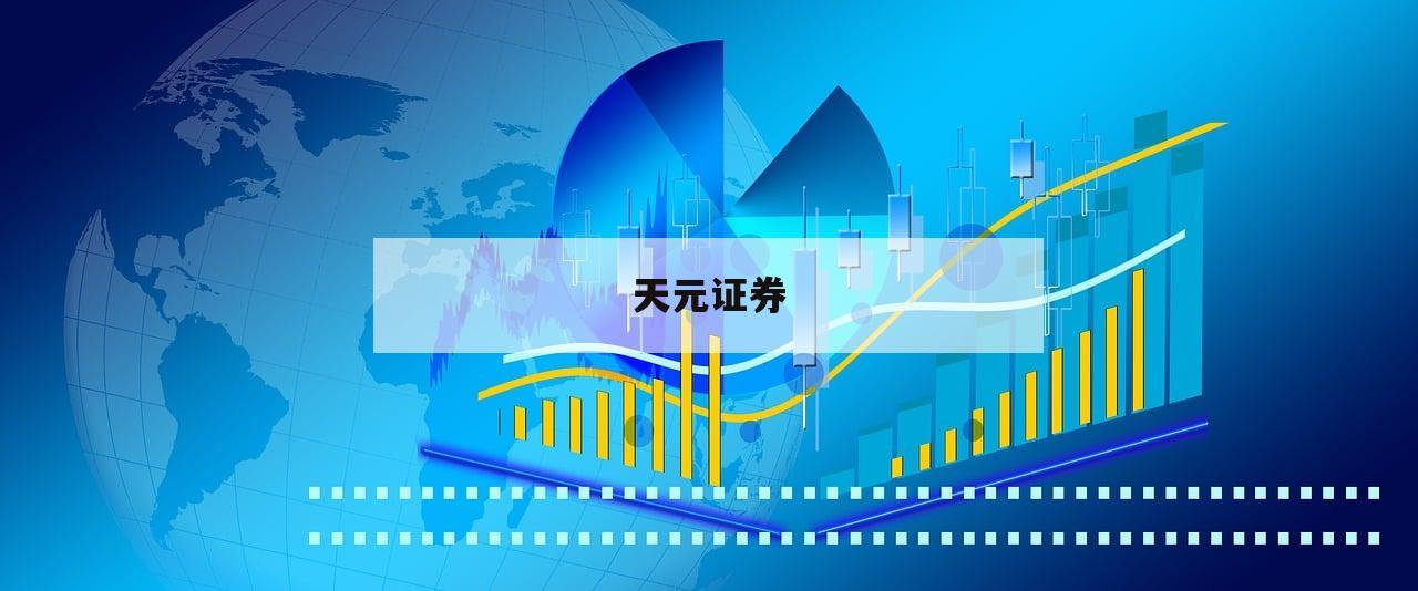 深度分析：配资网的优势与风险评估